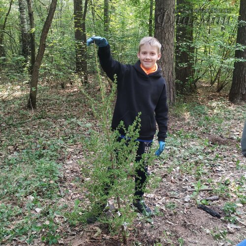 photo_7_2023-05-23_22-21-56
